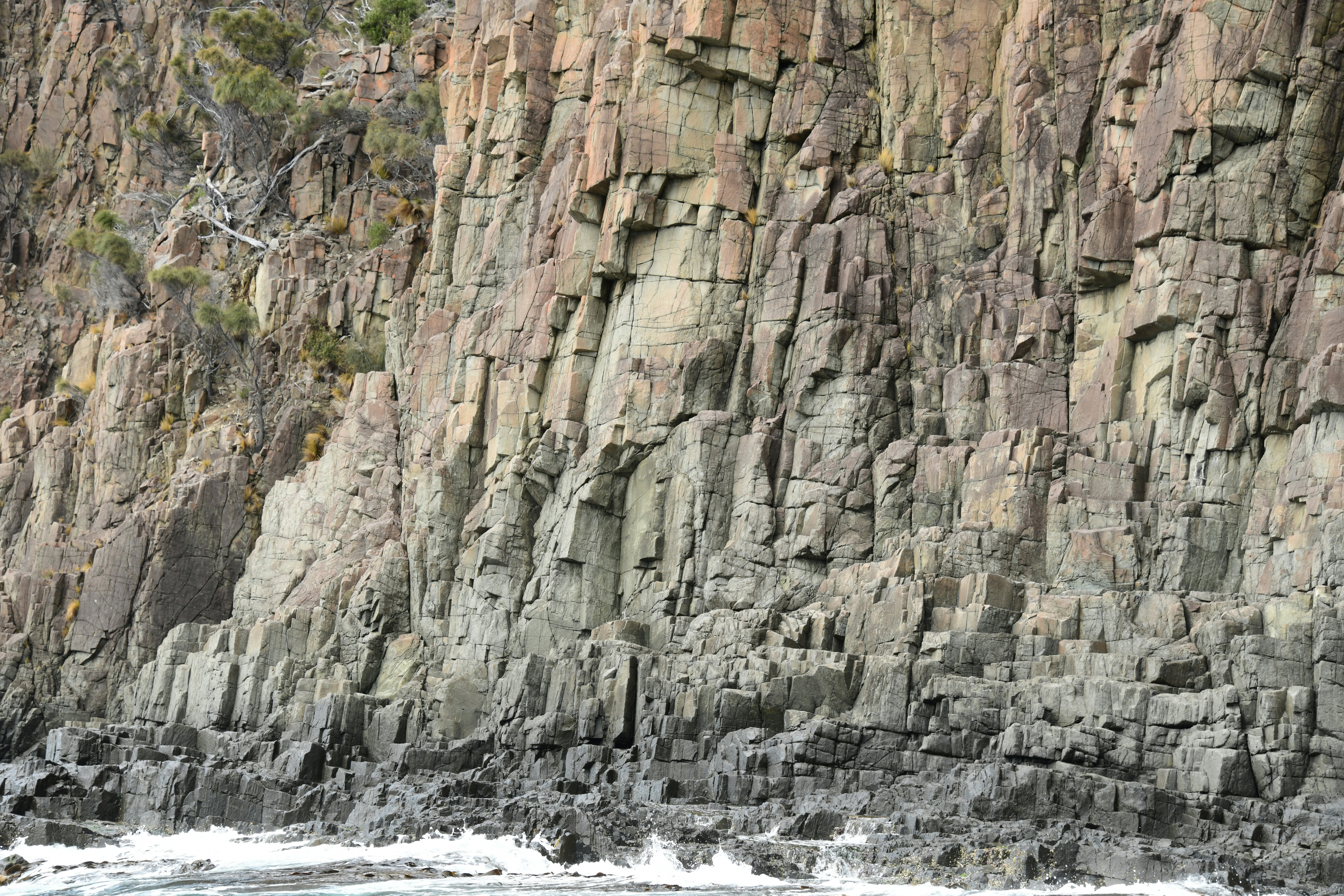 Ibex on rocky cliff